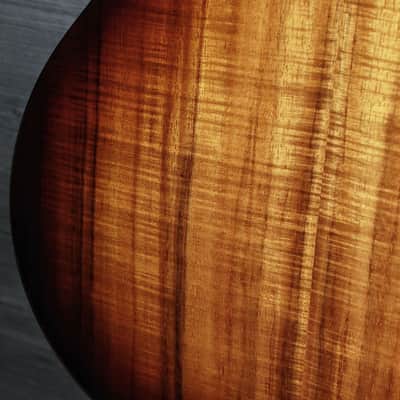Taylor 224ce-K DLX Koa Acoustic-Electric Guitar | Grand Auditorium Cutaway w/ ES2 Pickup image 13