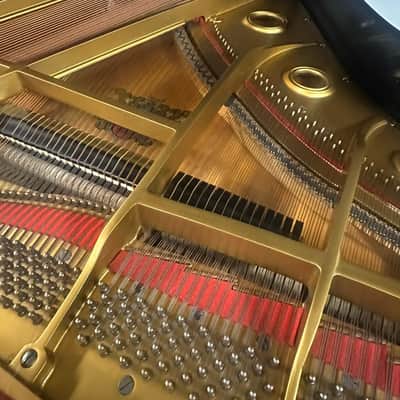 Wurlitzer G-452 Grand Piano – Glossy Black, 5'1" image 8