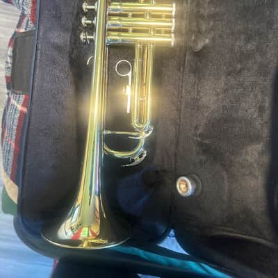Glory Bb Trumpet - with Case, Gold image 2