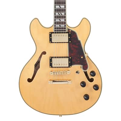 D'Angelico Deluxe Mini DC SH image 5