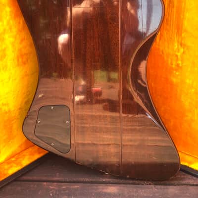 1964 Gibson Firebird V Sunburst image 4