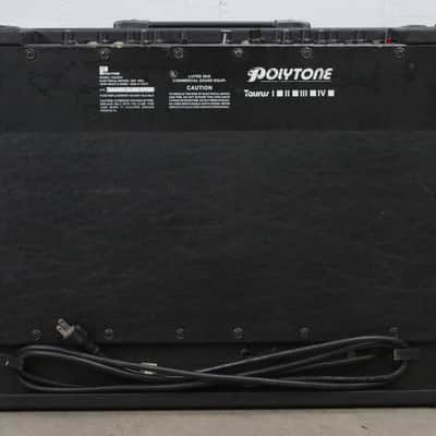 Polytone Taurus Solid State 2x12" Guitar Combo Amplifier #47655 image 9