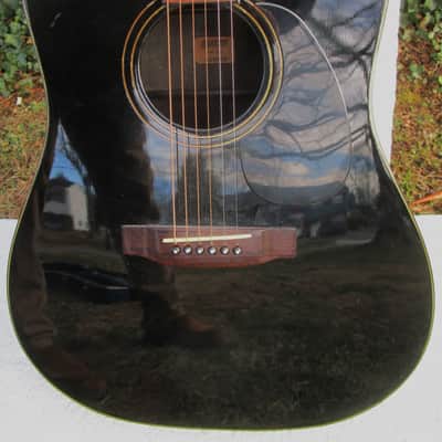 Daion The Year Series 79B Dreadnought Guitar 1979, Japan, Black, Case image 3
