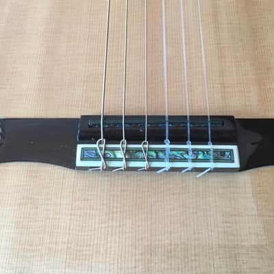 Sand Guitars electric nylon string Mahagoni - Barbera pickup image 4