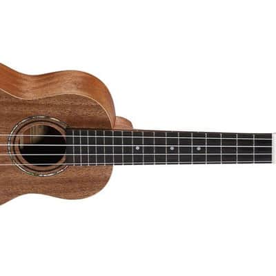 Alvarez RU22S Soprano Ukulele image 5