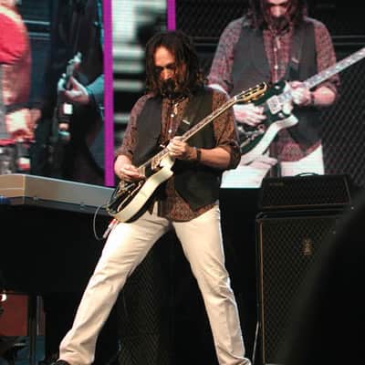 Hamburguitar Mike Campbell spec image 15