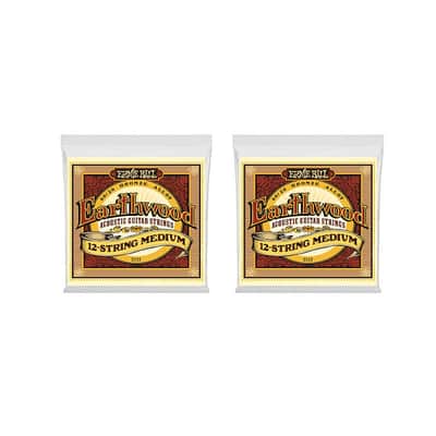 Ernie Ball Guitar Strings 2-Pack 12-String Acoustic Earthwood Medium 2012