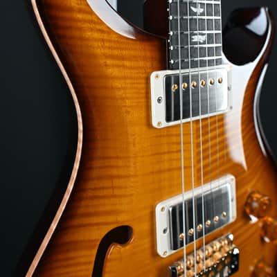 PRS DGT Semi-Hollow w/ Birds 10-Top McCarty Tobacco Sunburst #495 image 13