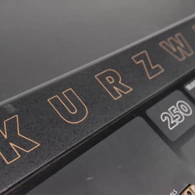 Kurzweil K250 Workstation Sampler/Sequencer Keyboard Owned by Lyle Mays #32749 image 22
