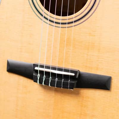 Taylor 314ce-N Grand Auditorium Nylon Acoustic/Electric Guitar with Hardshell Case image 11
