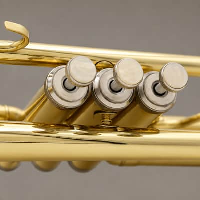 Professional Bb Trumpet for Students & Beginners – Brass B Flat Trumpet Set with Hard Case, Mouthpiece, Gloves, Cleaning Cloth & Shoulder Strap | School Band & Concert Instrument image 3