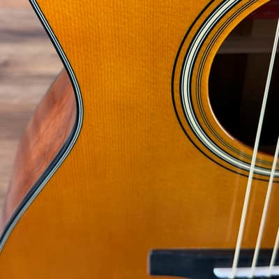 Yamaha FSX5 Red Label Acoustic-Electric Guitar - Natural image 6