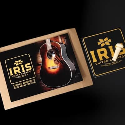 Iris MS-00 12-Fret All Black image 11