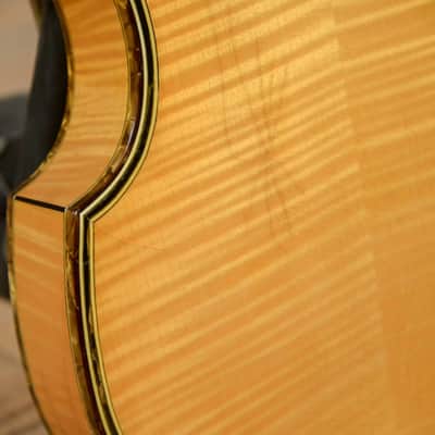 Hofner Fuzz Guitar image 11