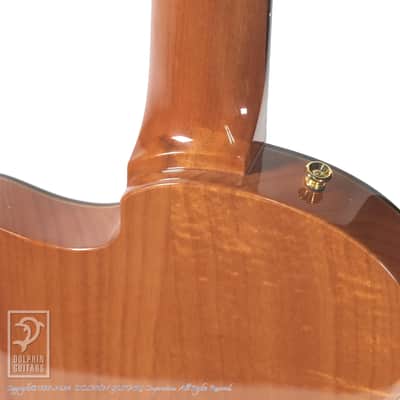 CORDOBA STAGE GUITAR (TRADITIONAL CD) image 11
