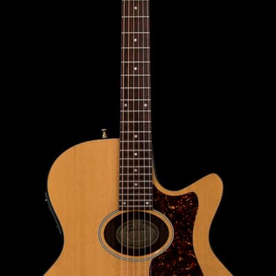 Guild USA F5CE-NT (1993) - Natural #00069 with Hard Case image 5