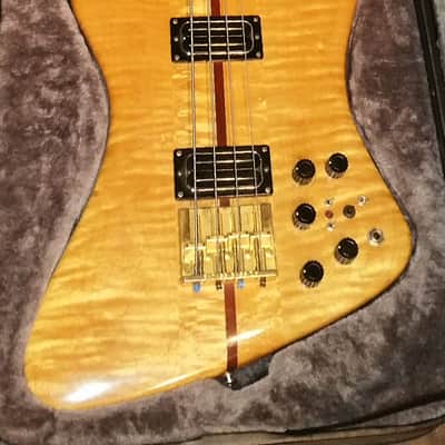 Ribbecke  Bass 1982 Vintage Custom Thunderbird Bass Very Very Rare 1 of 4 image 1