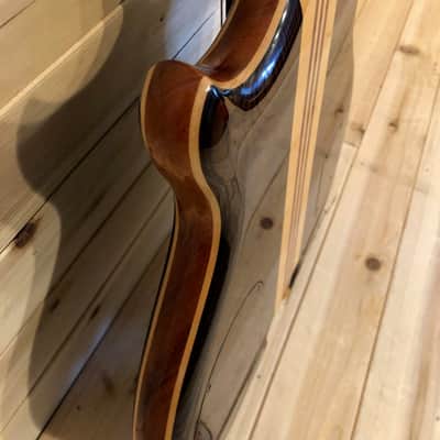Alembic Mark King Deluxe Custom Lined Fretless 5 string Bass 2002 CocoBolo LED's image 19