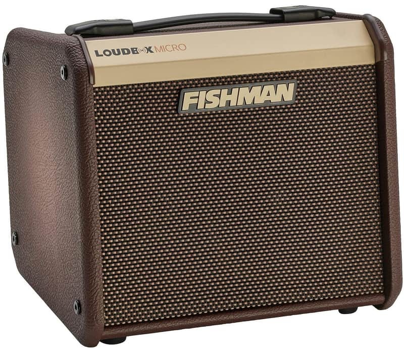 2023 - Present Fishman Loudbox Micro 2-Channel 40-Watt 1x5.25"...