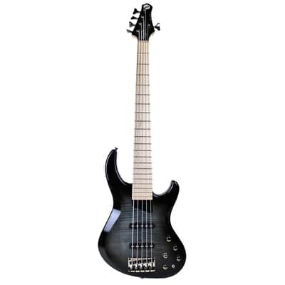 MTD Kingston Saratoga Deluxe 5 - Trans Black Burst w/Maple FB - Open Box image 2