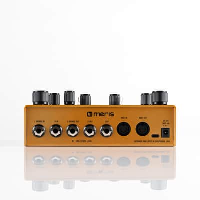 Meris Enzo X image 2