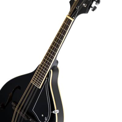 Ortega RMAE40SBK A-Style Series Spruce Top Maple Neck 8-String Mandolin w/Gig Bag image 8