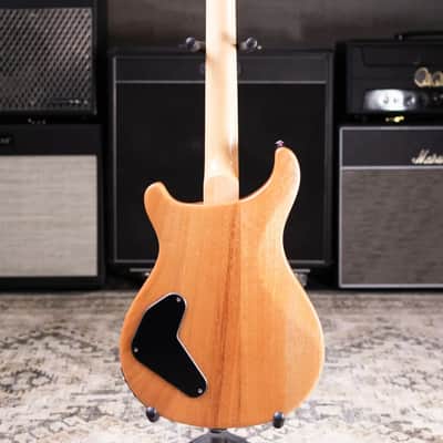 PRS SE Ed Sheeran Hollowbody I Baritone Piezo Electric Guitar - Prism with Gig Bag image 8
