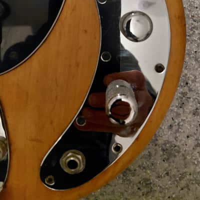 Music Man Stingray 1978 - natur image 7