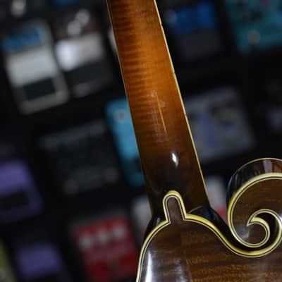 Lebeda F4 Standard Mandolin 2004 image 8