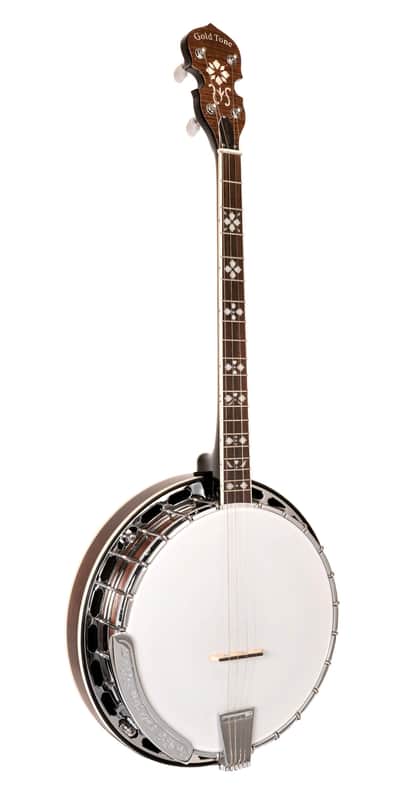 Gold Tone TS-250 Tenor Special 4-String Banjo w/Hardshell Case image 1