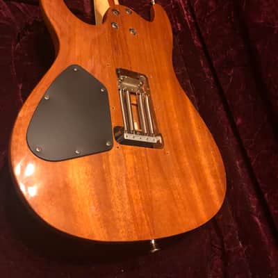Ibanez S1520 Prestige Steve Vai Autographed 1999 Bubinga Wood image 20