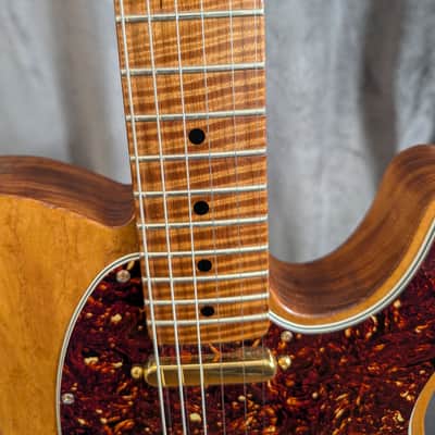 Smitty Custom Classic (Telecaster) image 9