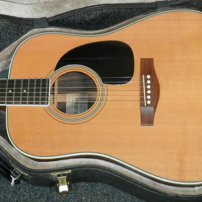 A LoPrinzi LR-20 Dreadnought Acoustic Guitar with case used image 3