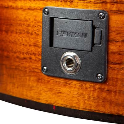 Breedlove Pursuit Exotic S Concert Edgeburst CE Acoustic-Electric Guitar - Koa image 6