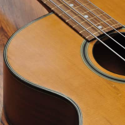 Vester Fretless acoustic bass VB385 image 9