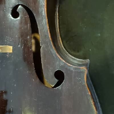 Franz Diener Cello c. 1826 image 5