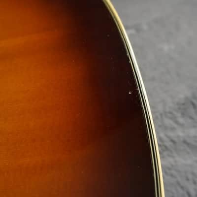 Aria Elecord FE-60 w/ Built-In Electronics w/ Hard Case image 12