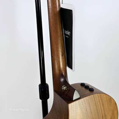 Taylor AD14ce-SB LTD 50th Anniversary Grand Auditorium w/AeroCase (Demo) image 7