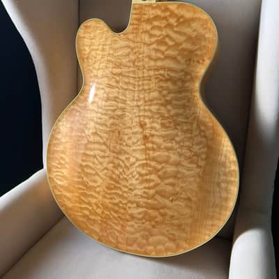 Mark Campellone Special 17" Archtop DeArmond Rhythm Chief 1100 image 7