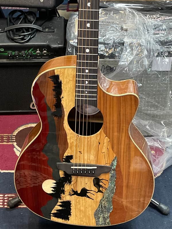 Luna Vista Bear Acoustic-Electric with Case 2010s - Natural image 1