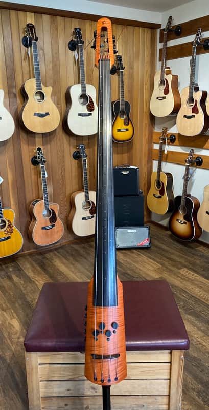 NS Design CR4M Electric Upright Bass (Used) image 1
