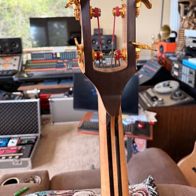 Alembic Classico 2012 Coco Bolo image 7