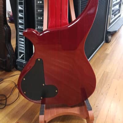 Tune TWB 10-T-OB (10 String Bass) - Red-See-Thru image 5