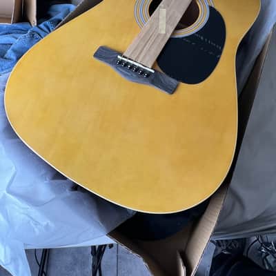 Zager ZAD01PK-N Acoustic Dreadnought Guitar image 1