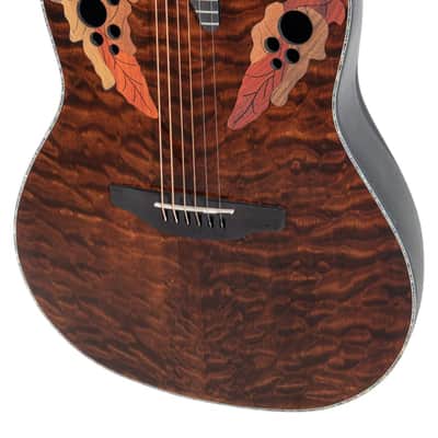 Ovation Celebrity Elite Plus CE44P-TGE Mid-Depth Acoustic-Electric Guitar - Dark Tiger Eye image 15