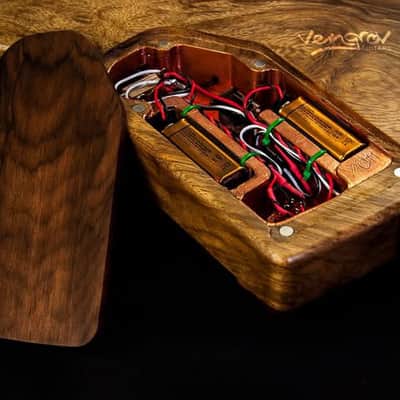 Custom Explorer Vengrov Emg Metallica James Hetfield Het Set image 5