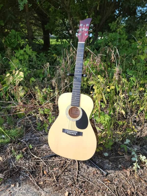 Jay Turser JJ43 3/4 sized dreadnought acoustic guitar with soft case image 1