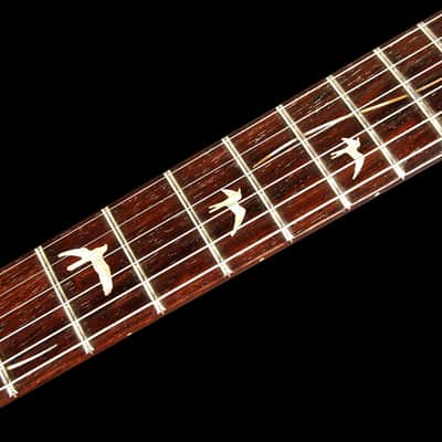 Paul Reed Smith PRS Singlecut 20th Anniversary Artist Package Brazilian 1-PIECE TOP 2007 Royal Blue image 6