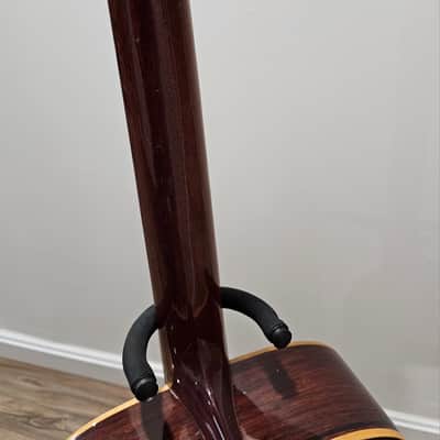 Giannini AWS-680 12 string Acoustic Guitar image 11