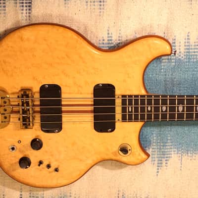 Alembic Distillate Bass 1983 Birdseye Maple and Mahogany Bild 15